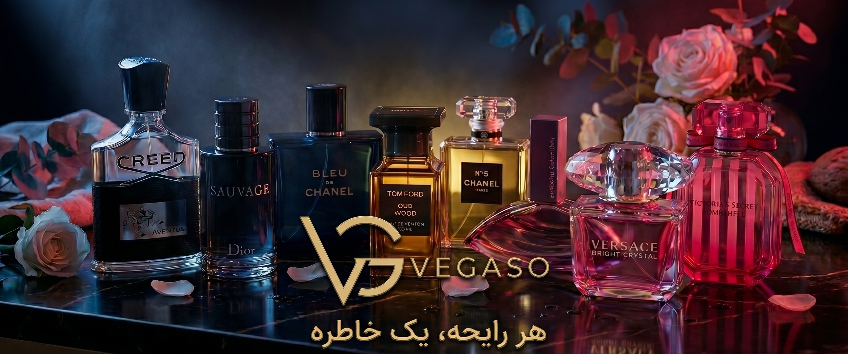 بنر و لوگوی وگاسو